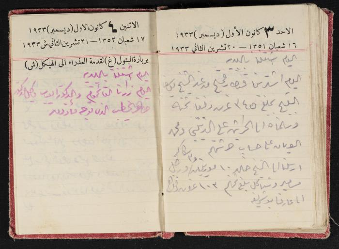 Abdel-Rahman al-Haj Ibrahim Diaries, Tulkarm, 1933
