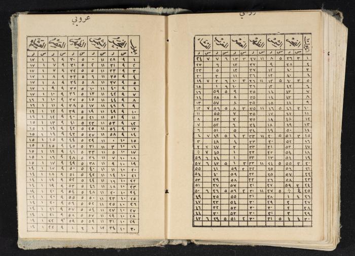 Abdel-Rahman al-Haj Ibrahim Diaries, Tulkarm, 1934