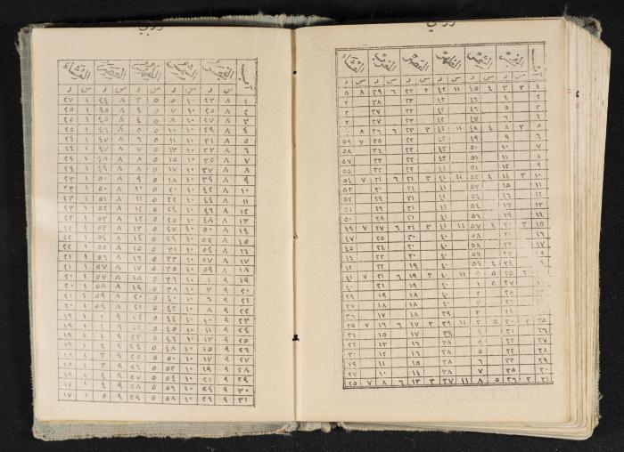Abdel-Rahman al-Haj Ibrahim Diaries, Tulkarm, 1934