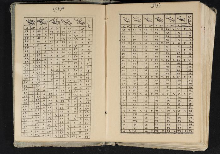 Abdel-Rahman al-Haj Ibrahim Diaries, Tulkarm, 1934