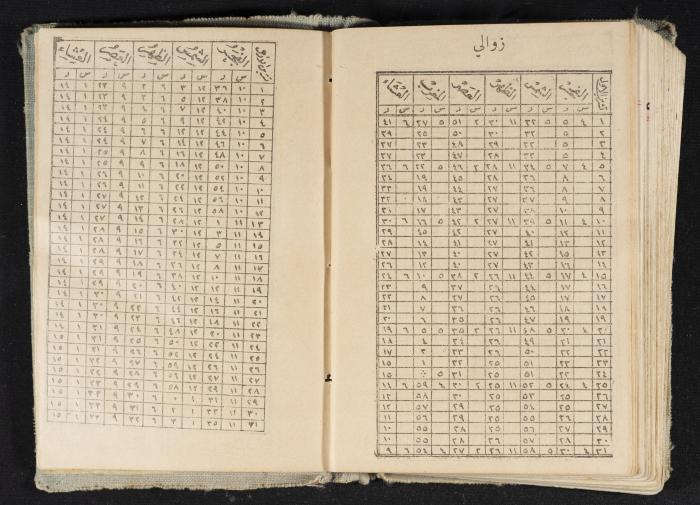Abdel-Rahman al-Haj Ibrahim Diaries, Tulkarm, 1934