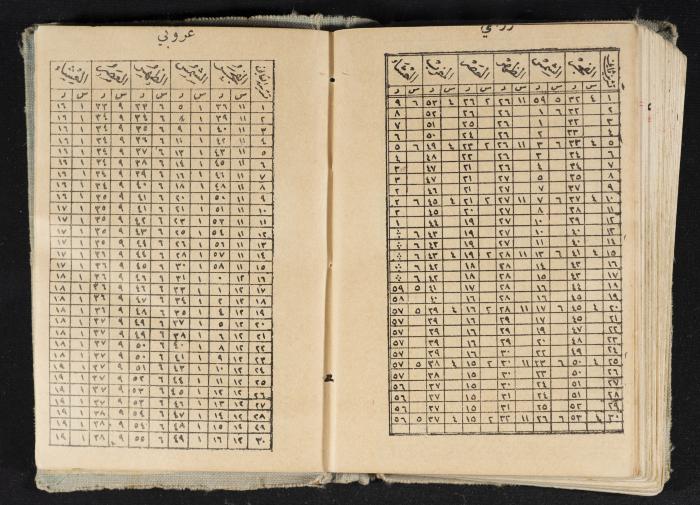 Abdel-Rahman al-Haj Ibrahim Diaries, Tulkarm, 1934
