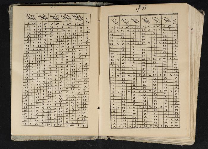 Abdel-Rahman al-Haj Ibrahim Diaries, Tulkarm, 1934