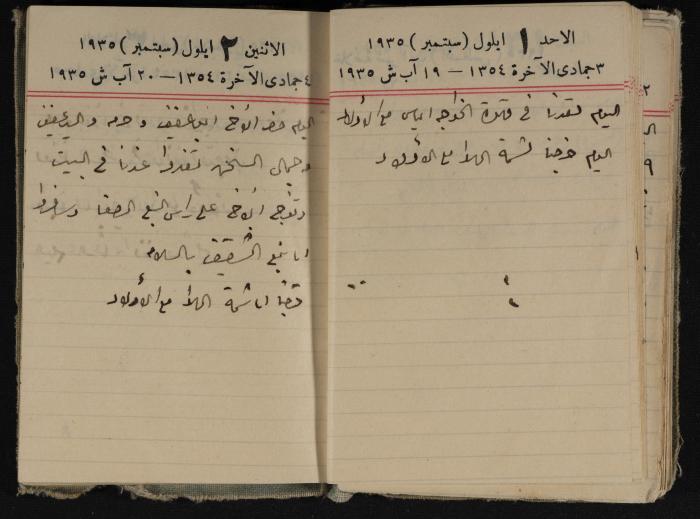 Abdel-Rahman al-Haj Ibrahim Diaries, Tulkarm, 1935