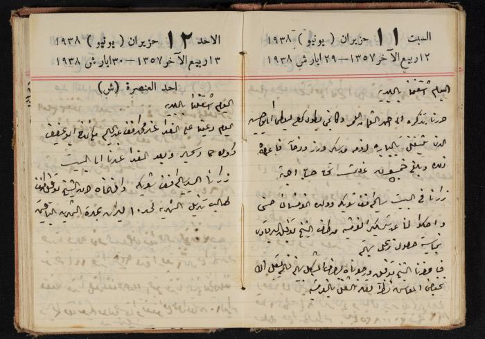Abdel-Rahman al-Haj Ibrahim Diaries, Tulkarm, 1938
