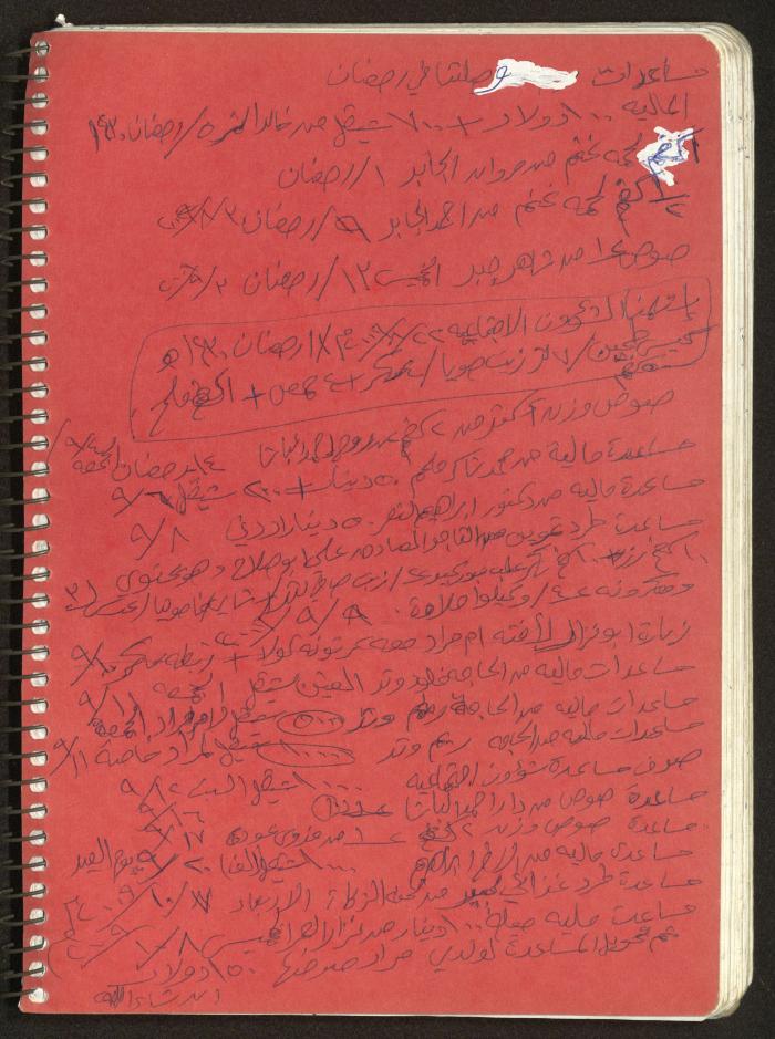 Mahmoud Khreisheh Diaries, Thinnaba- Tulkarm, 2009