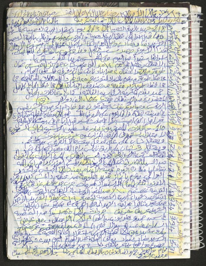 Mahmoud Khreisheh Diaries, Thinnaba- Tulkarm, 2016