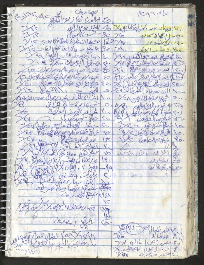 Mahmoud Khreisheh Diaries, Thinnaba- Tulkarm, 2016