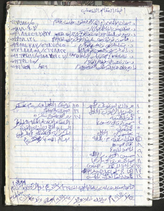 Mahmoud Khreisheh Diaries, Thinnaba- Tulkarm, 2016