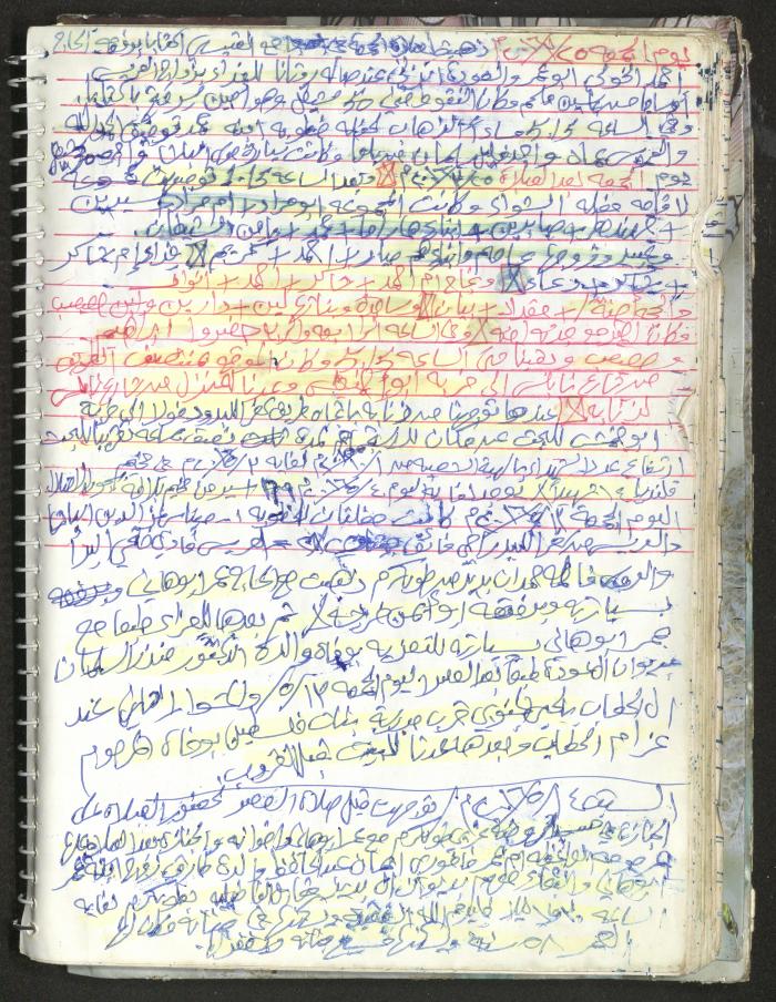 Mahmoud Khreisheh Diaries, Thinnaba- Tulkarm, 2016