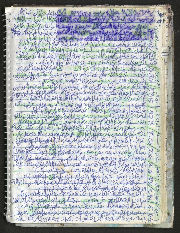 Mahmoud Khreisheh Diaries, Thinnaba- Tulkarm, 2016
