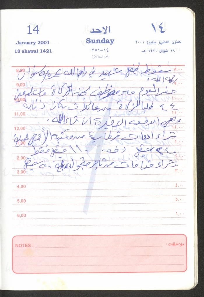 Mahmoud Khreisheh Diaries, Thinnaba- Tulkarm, 2001