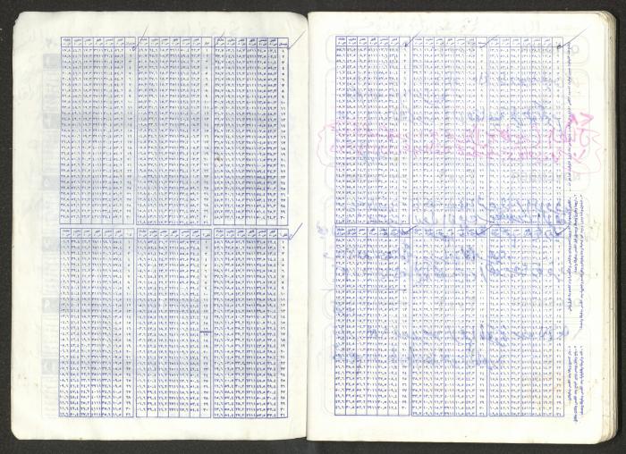 Mahmoud Khreisheh Diaries, Thinnaba- Tulkarm, 2001