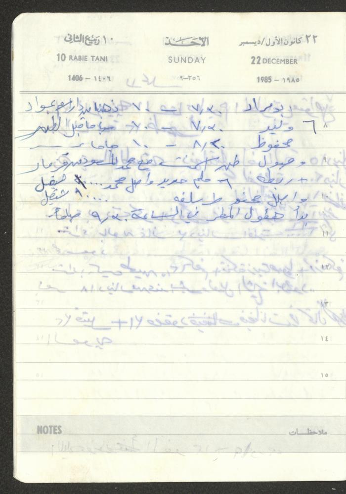 Mahmoud Khreisheh Diaries, Thinnaba- Tulkarm, 1985