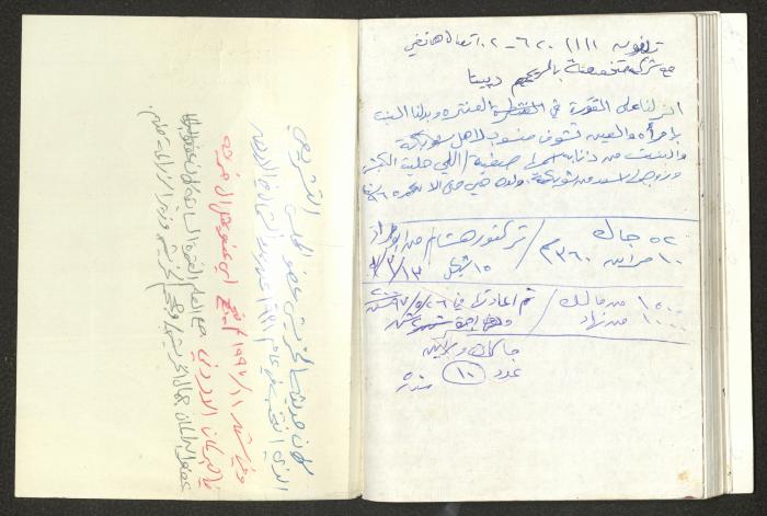 Mahmoud Khreisheh Diaries, Thinnaba- Tulkarm, 1987
