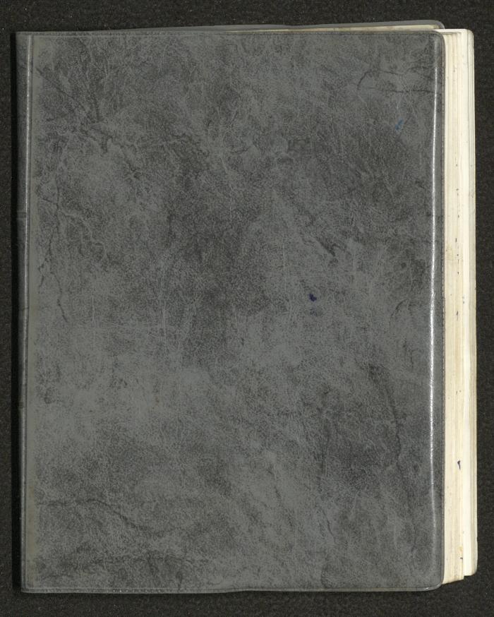 Mahmoud Khreisheh Diaries, Thinnaba- Tulkarm, 1987
