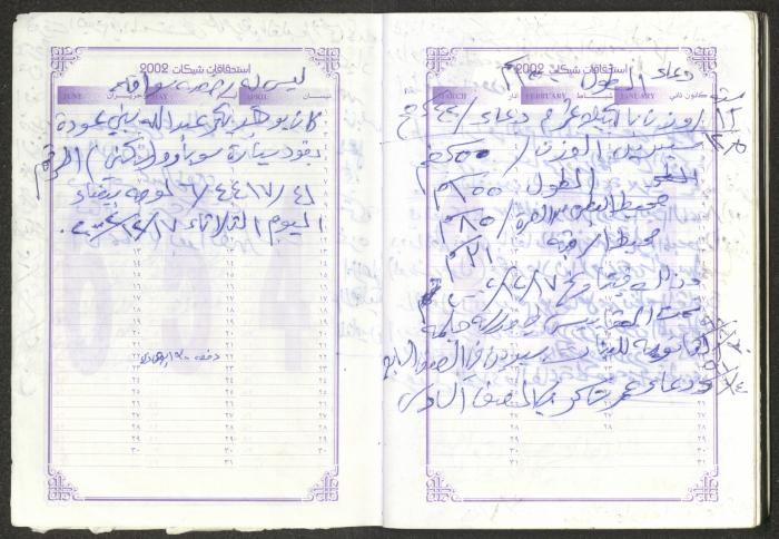يوميات محمود خريشة، ذنابة- طولكرم، 2002 