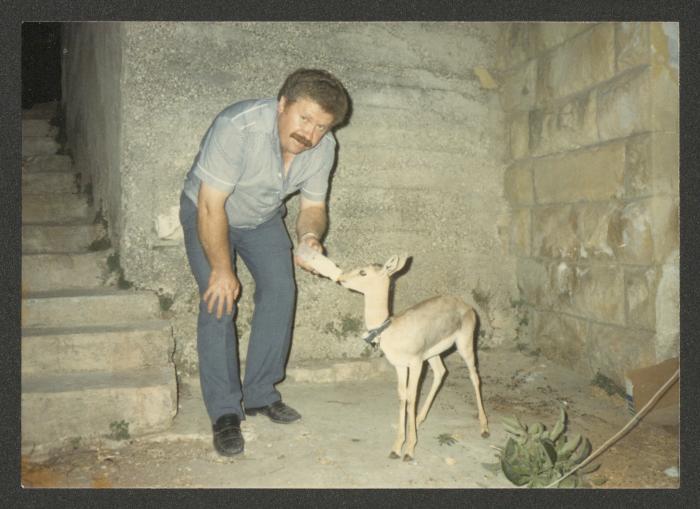 Adel Tartir Giving a Small Gazelle Milk, Ramallah