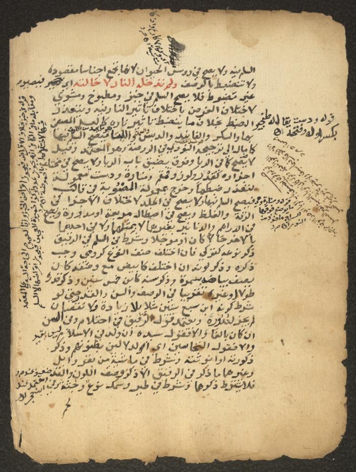 مخطوطة حول العبادات، القرن التاسع عشر