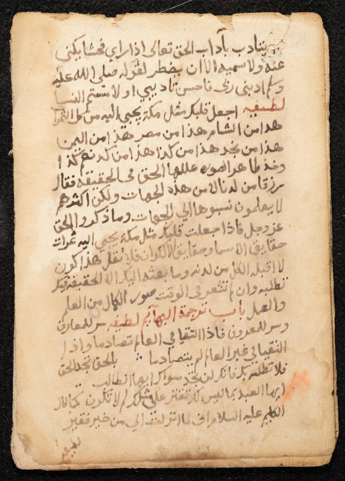 مخطوطة عن كتاب لمحيي الدين بن عربي، القرن التاسع عشر