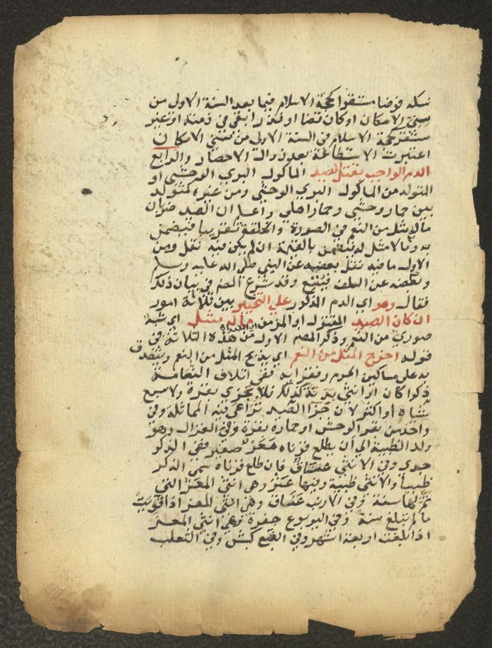 مخطوطة حول العبادات، القرن التاسع عشر