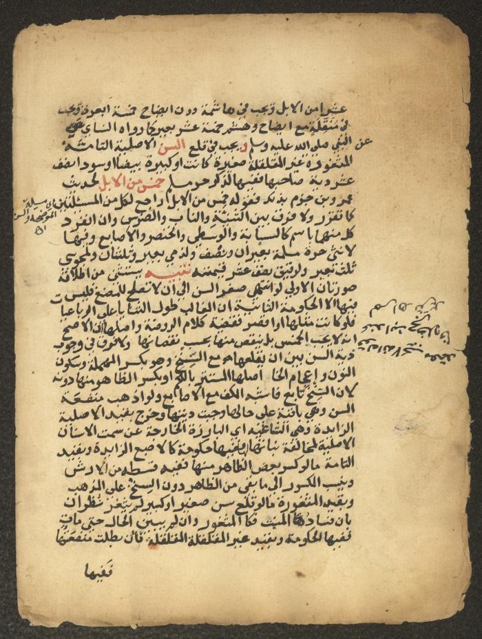 مخطوطة حول العبادات، القرن التاسع عشر