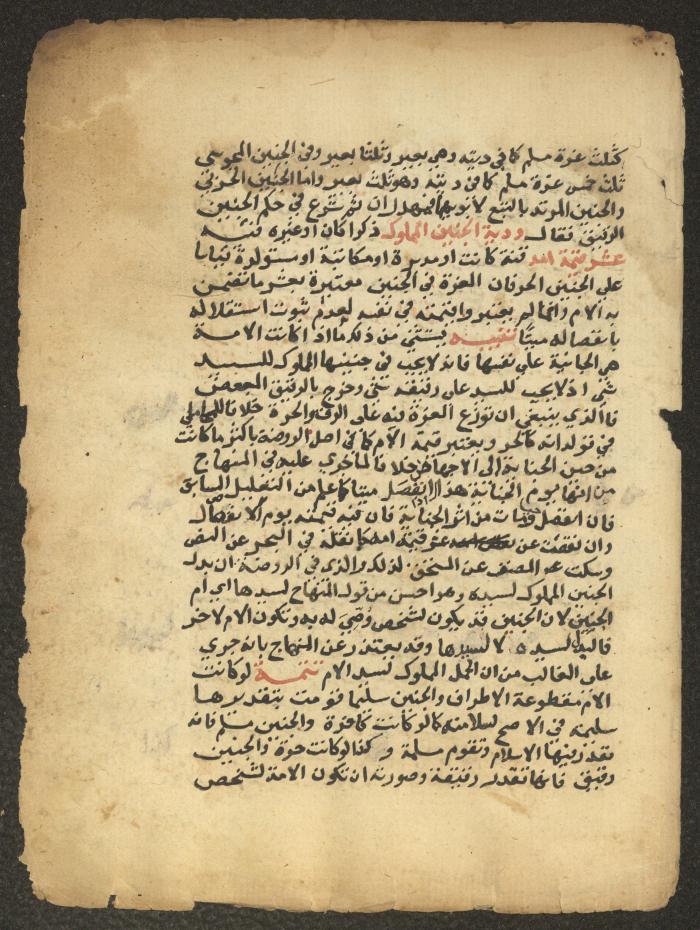 مخطوطة حول العبادات، القرن التاسع عشر