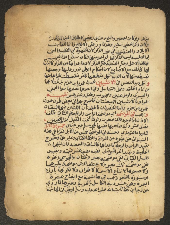 مخطوطة حول العبادات، القرن التاسع عشر
