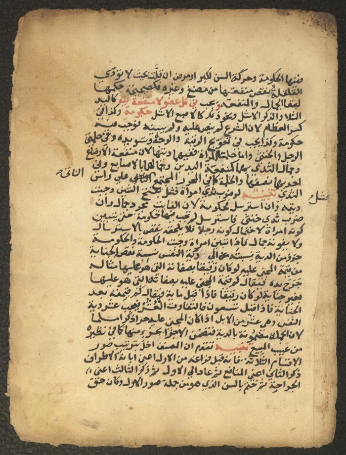 مخطوطة حول العبادات، القرن التاسع عشر
