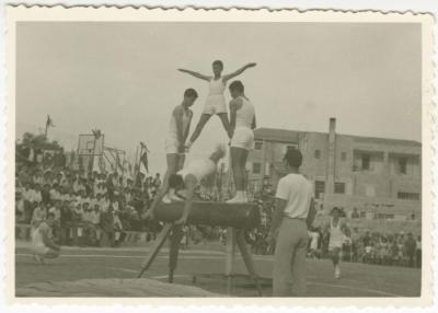 A Gymnastics Show on the Pommel Horse, Birzeit College, 1966