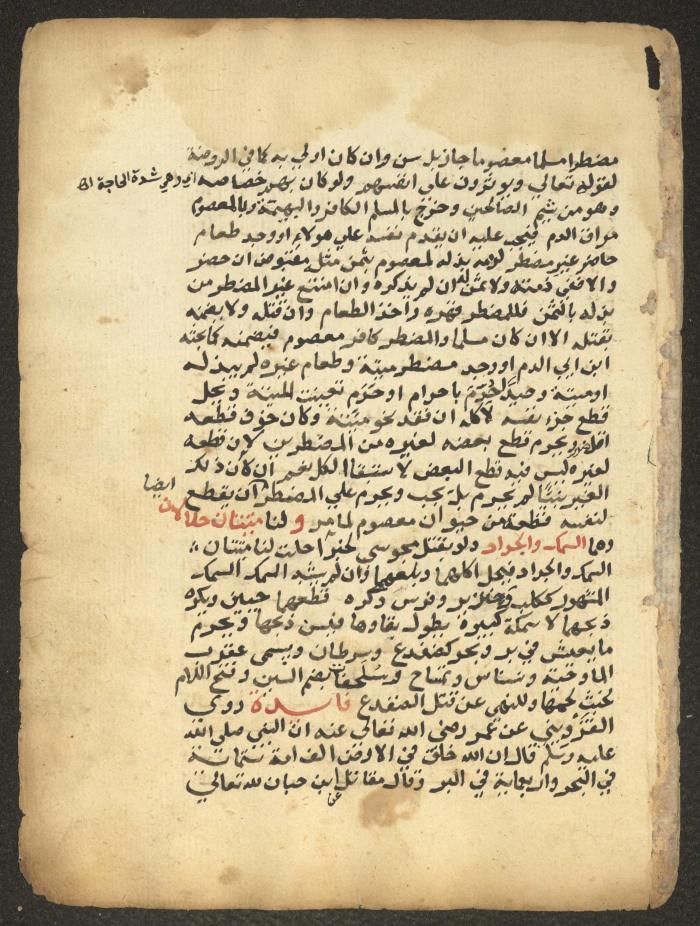 مخطوطة حول العبادات، القرن التاسع عشر