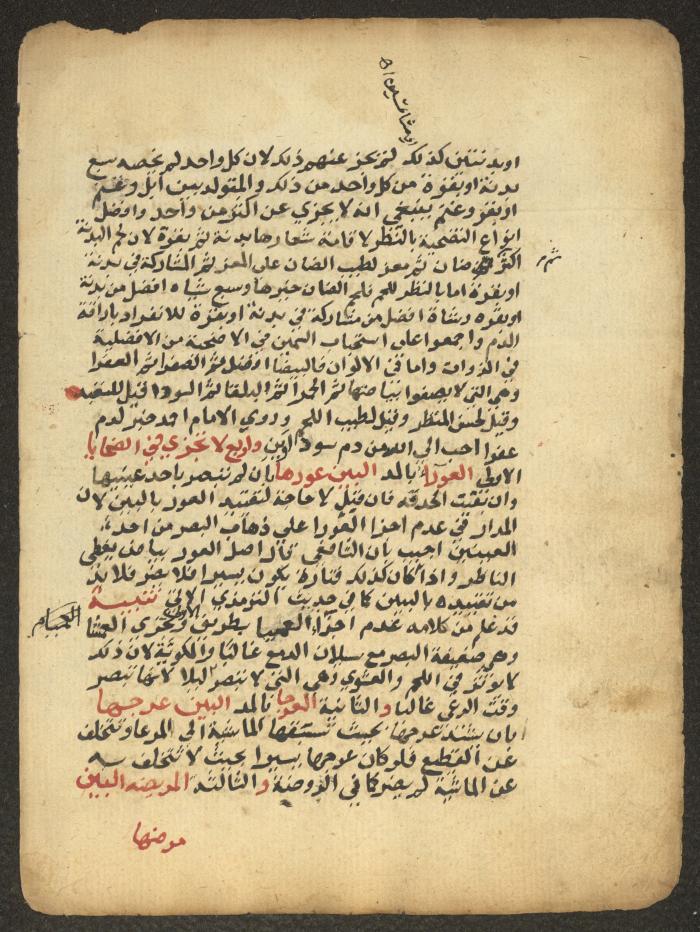 مخطوطة حول العبادات، القرن التاسع عشر