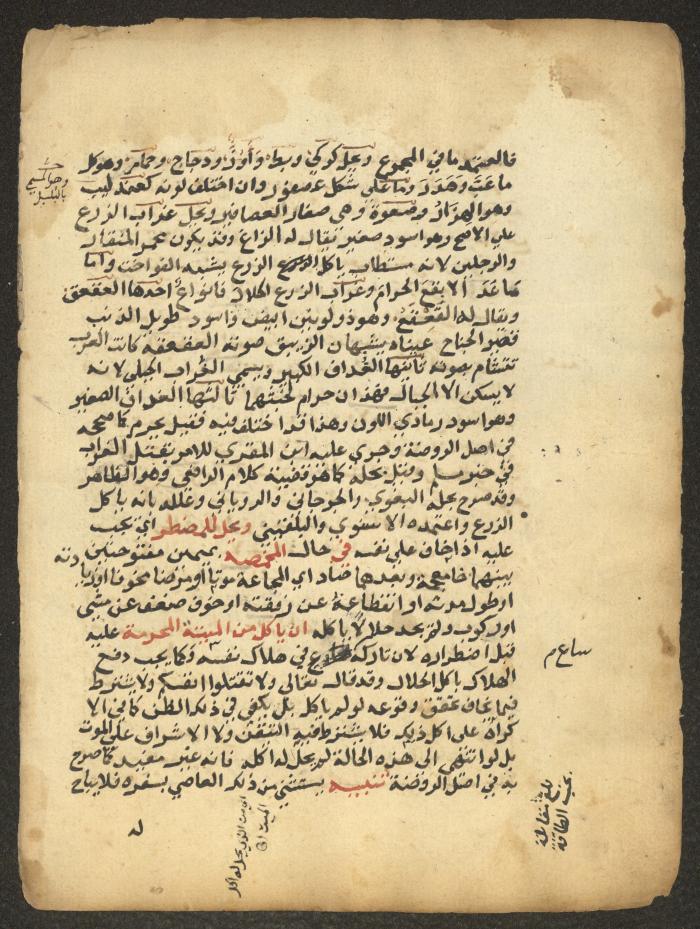 مخطوطة حول العبادات، القرن التاسع عشر