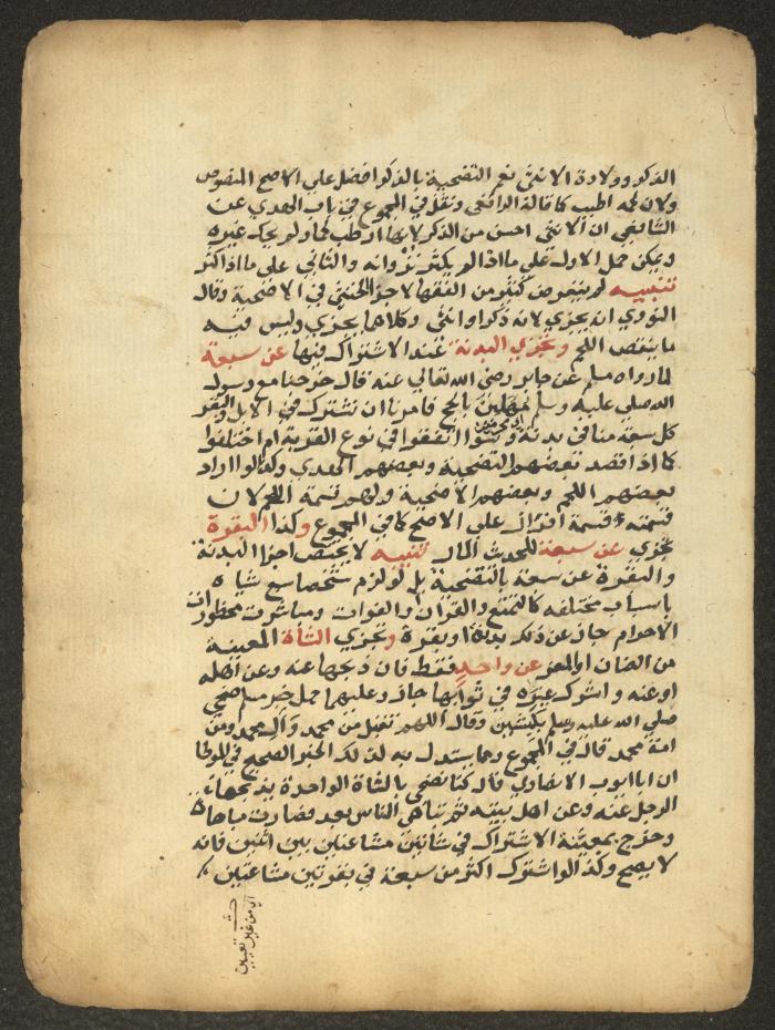 مخطوطة حول العبادات، القرن التاسع عشر