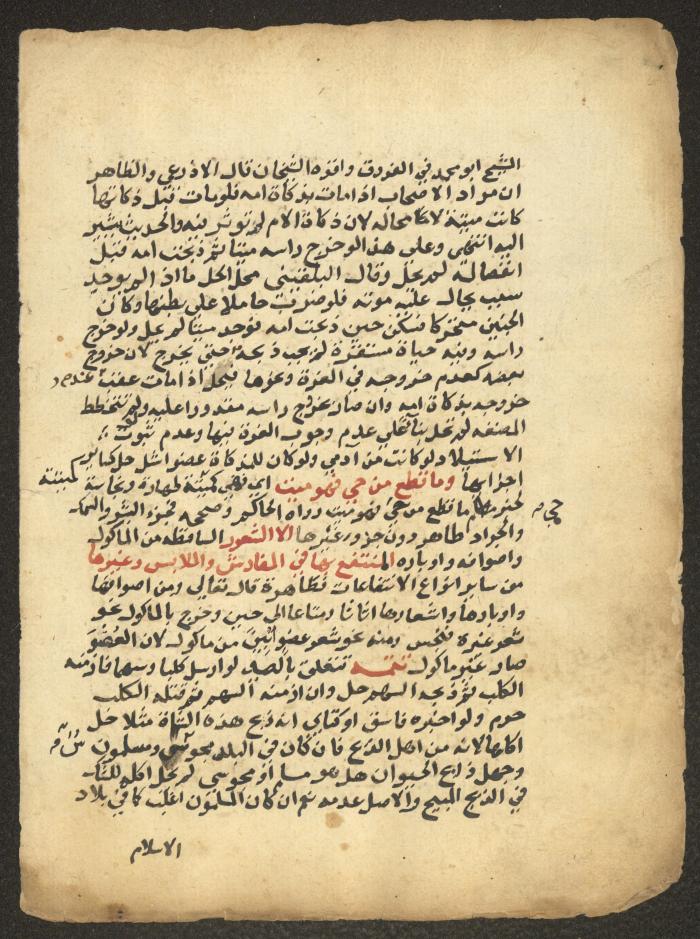 مخطوطة حول العبادات، القرن التاسع عشر