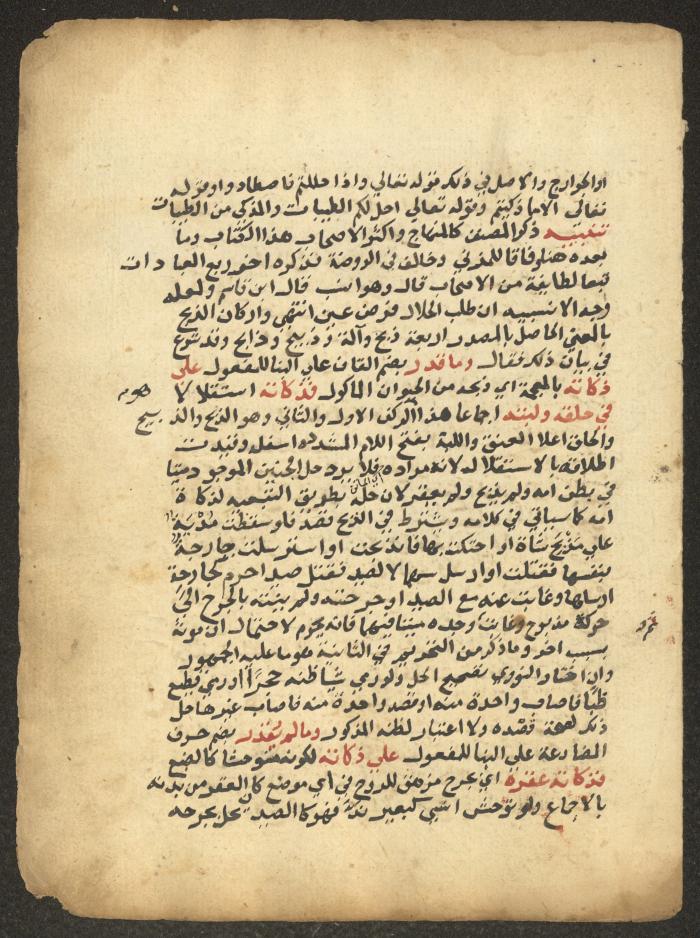 مخطوطة حول العبادات، القرن التاسع عشر