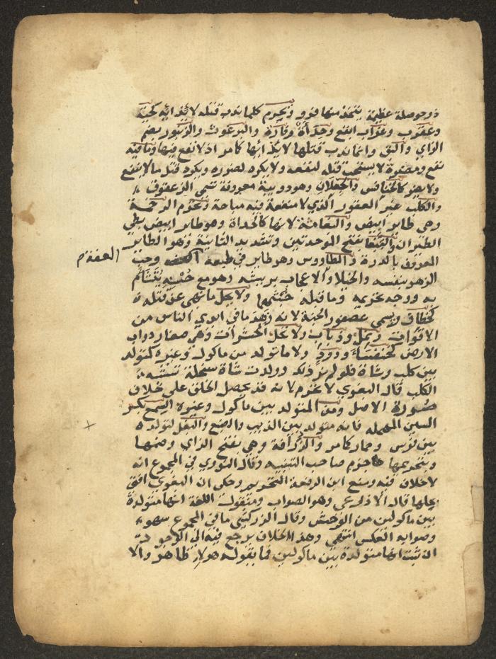 مخطوطة حول العبادات، القرن التاسع عشر
