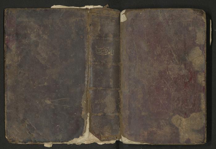 The Old Testament of the Bible, 1879