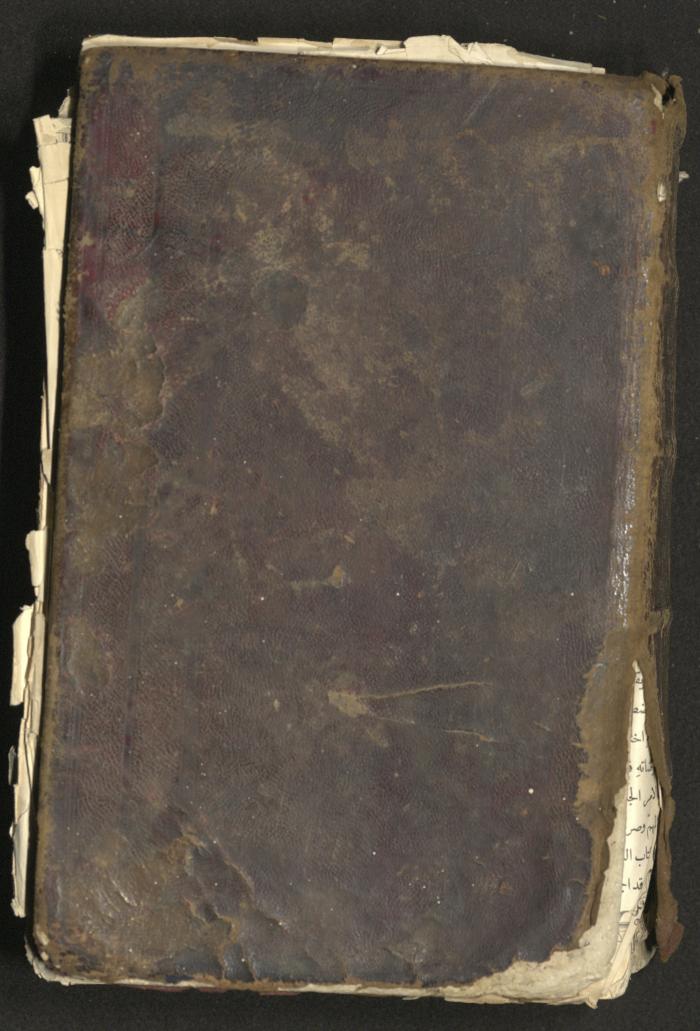 The Old Testament of the Bible, 1879