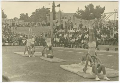 A Group of Students Performing Collective Sports Movements in a Sports Festival, 1966