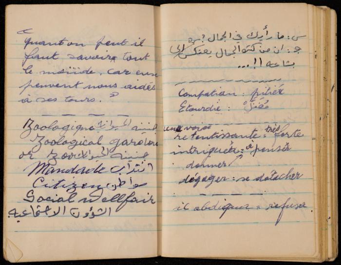 Walid Fahoum's Notebook