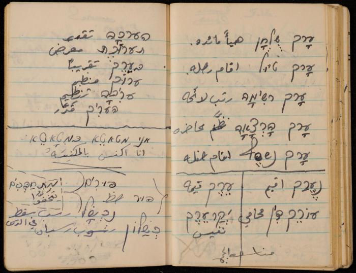Walid Fahoum's Notebook