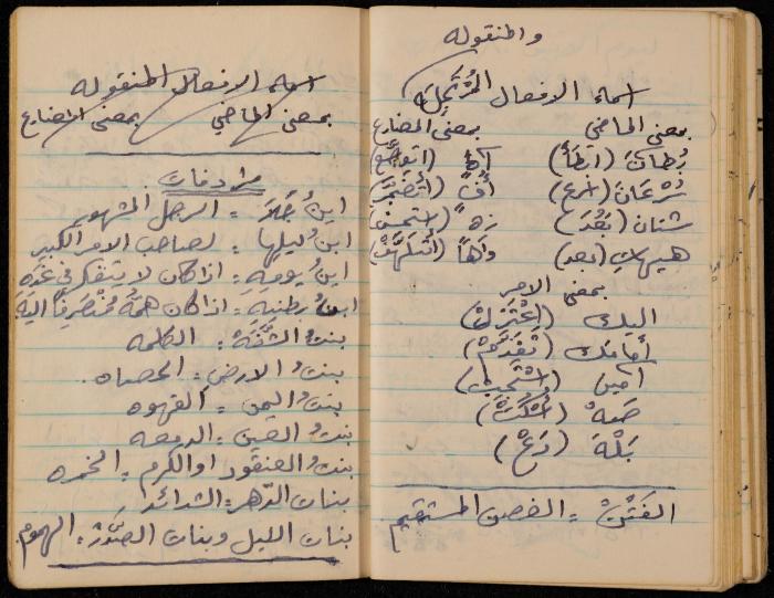 Walid Fahoum's Notebook