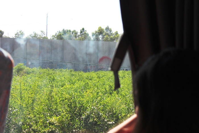 A Photograph of a Summar School Held by the PCS in Birzeit, 2012
