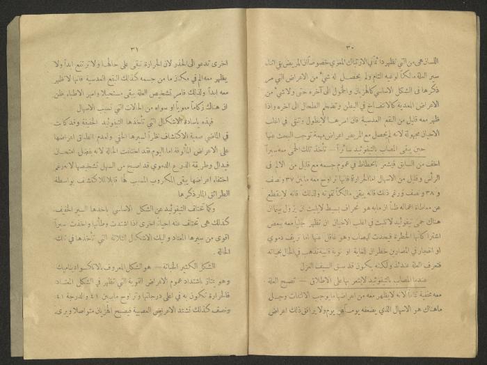 The 8th Issue of al-Sehha Magazine, Beirut, the Early 20th Century