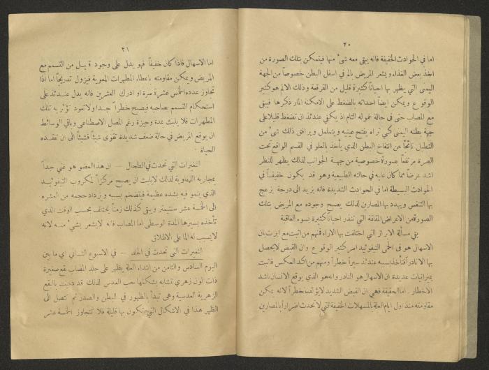 The 8th Issue of al-Sehha Magazine, Beirut, the Early 20th Century