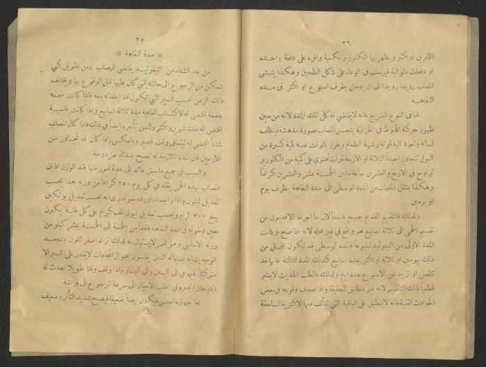 The 8th Issue of al-Sehha Magazine, Beirut, the Early 20th Century