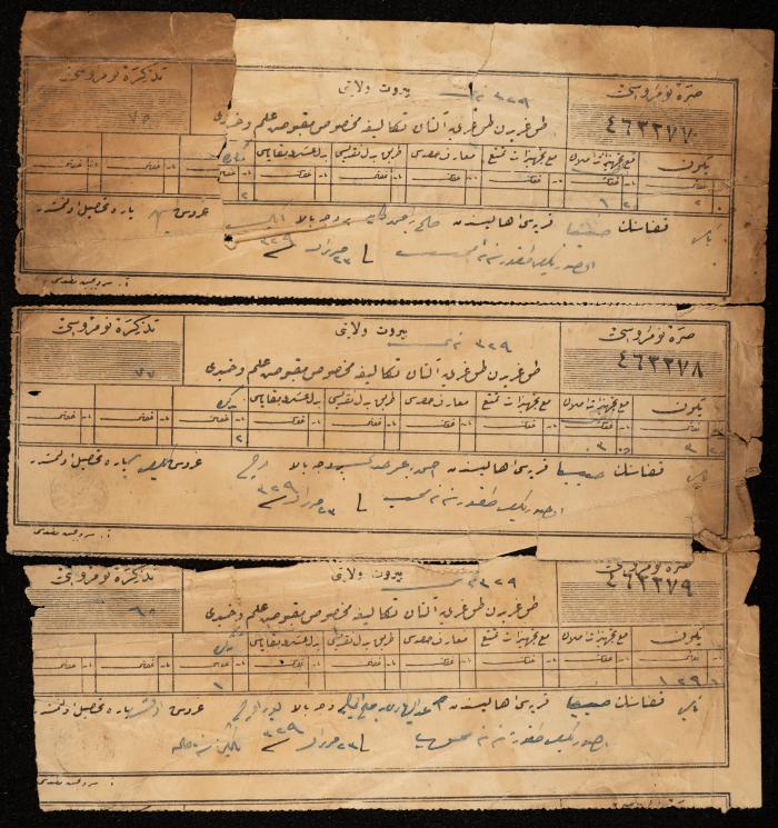Tithe Tax Receipts in the Village of Ijnisinya, Nablus, 1911