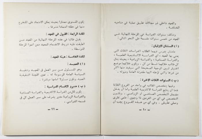 A Booklet about the Project of the Arab Institute 
