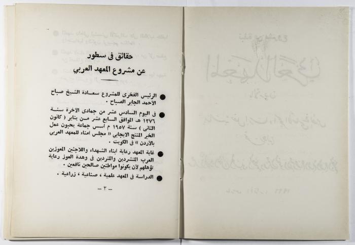A Booklet about the Project of the Arab Institute 